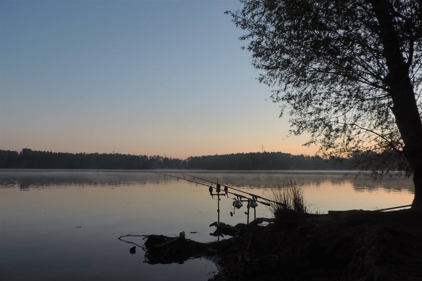 Fishing rods on rests at the edge of the Donkvijver at sunrise, with mist over the water